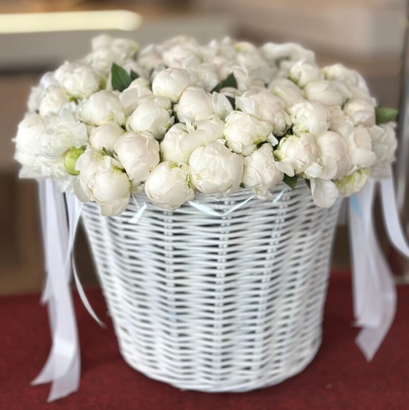 Italian peonies Снегирь белоснежные итальянские пионы в большом корзине святой Варвары.