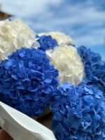 White & Azure Роскошный букет из белых и азурных гортензий, излучающий свежесть и элегантность.