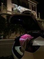 Yacht Club Roses — 300 Roses Dome - Image 4