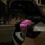 300 Pink Roses Dome (#305) - Image 4