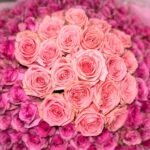 300 Pink Roses Dome (#305) - Image 2