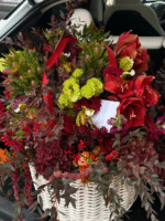 Monaco Royale - Image 4