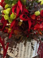 Monaco Royale - Image 6