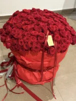 Grand Luxe - 301 - Image 2