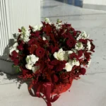 Principality Heritage (#98)