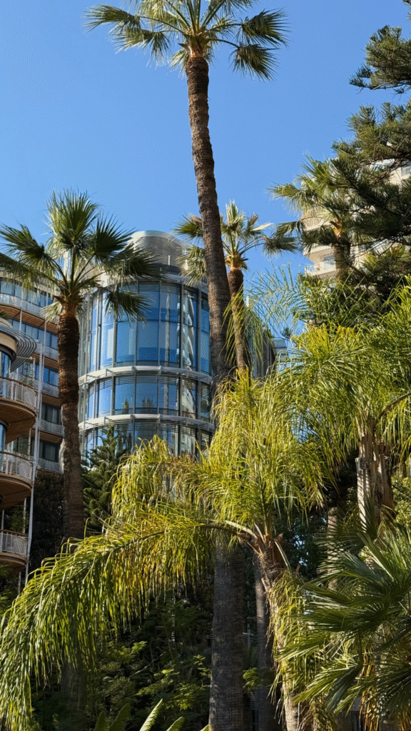 Без названия (1080 x 1920 пикс.) (5)