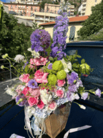 L’Azur Fusion Bloom 🎨