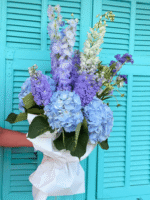 Fairytale ballroom mist