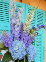 Fairytale ballroom mist - Image 4