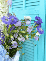 Fairytale ballroom mist - Image 5