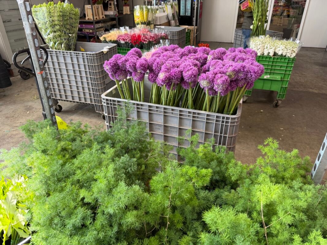 buy flowers online Monaco