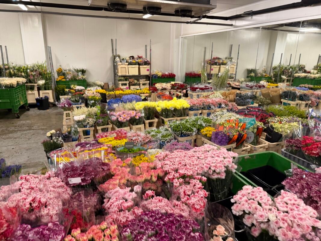 French Riviera luxury flowers
