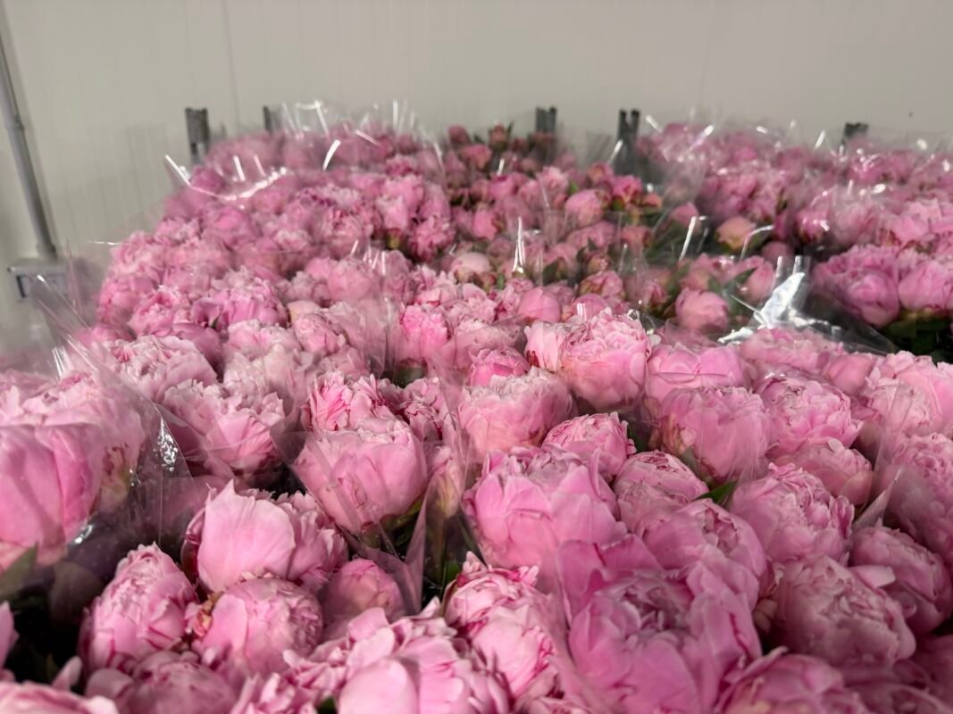 European luxury flower suppliers