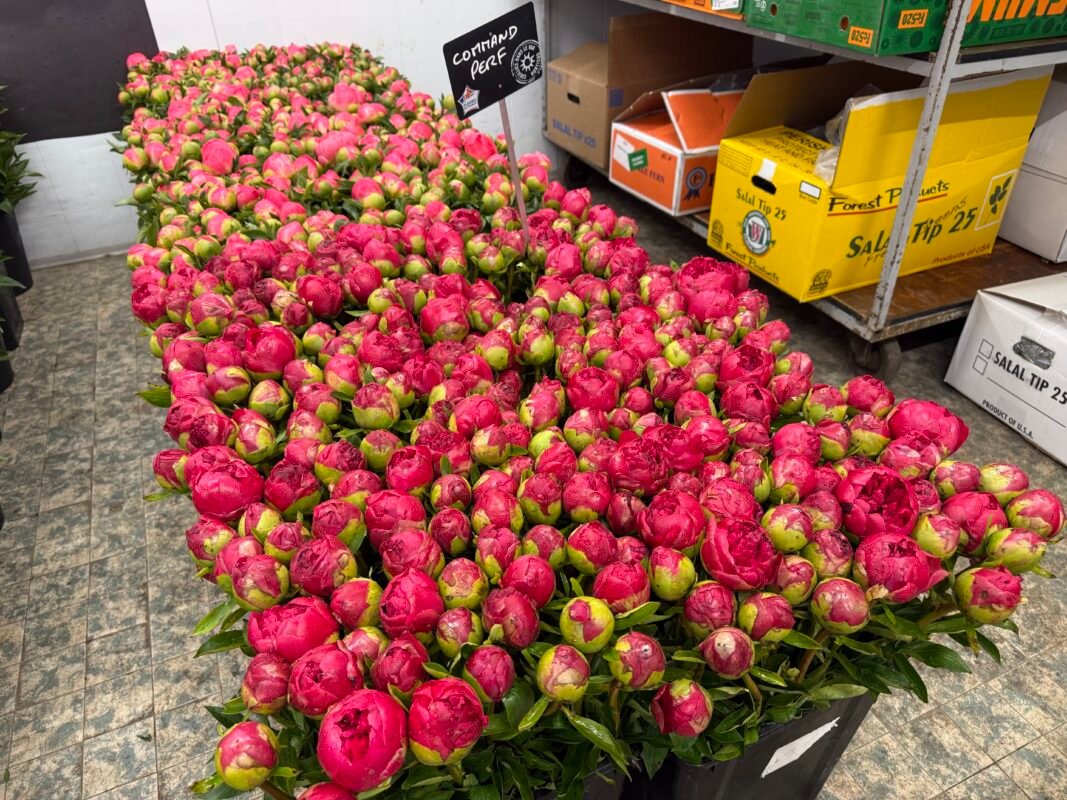 Luxury floral design Monaco yacht