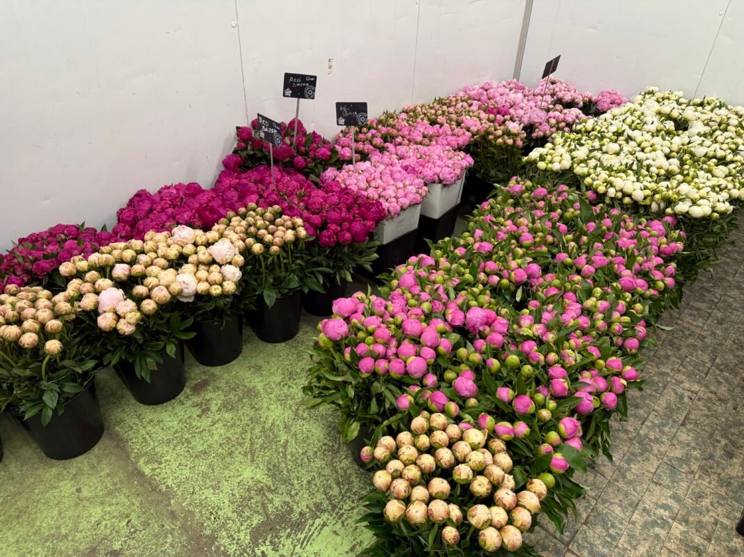 Luxury yacht floral styling Monaco
