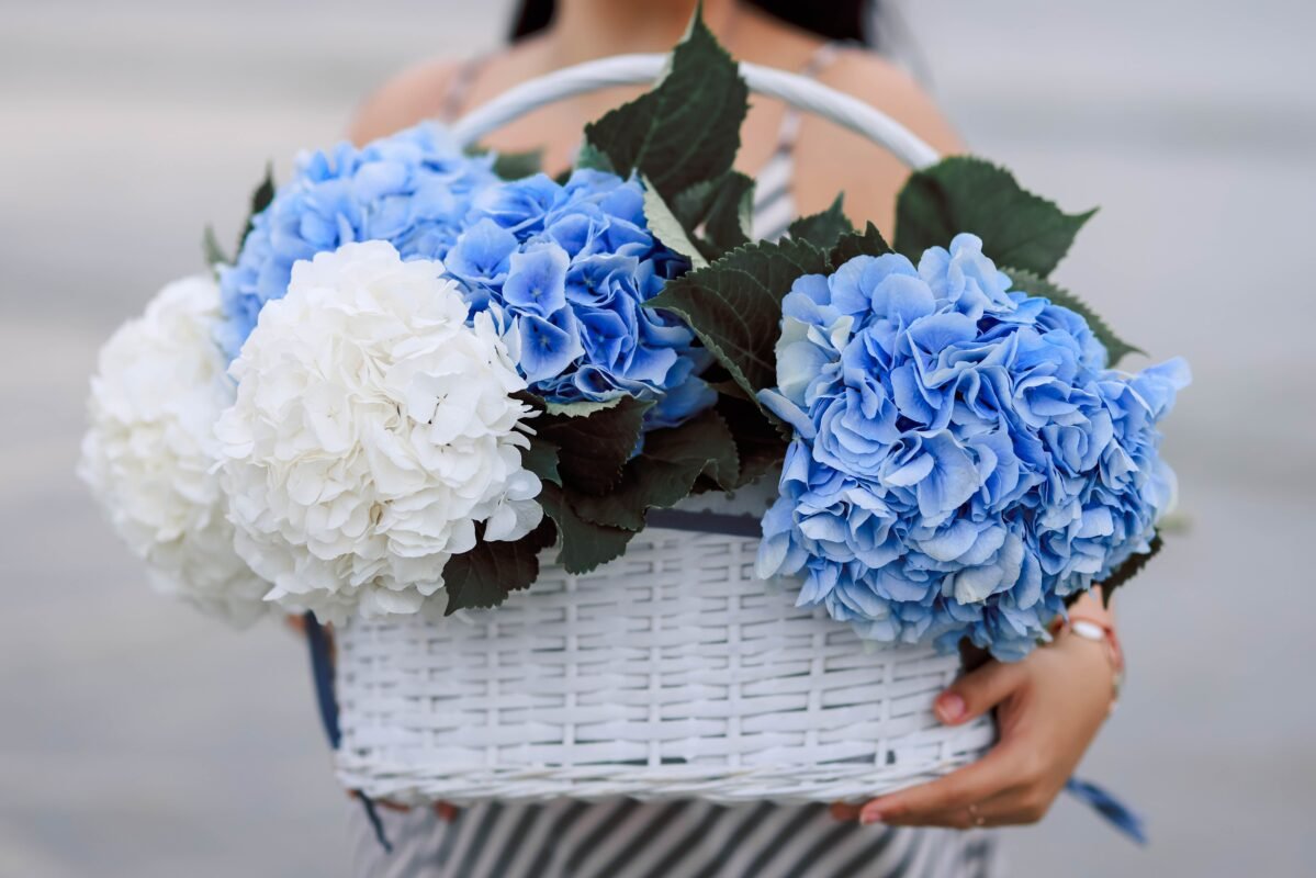 Premium flower box Monaco residence