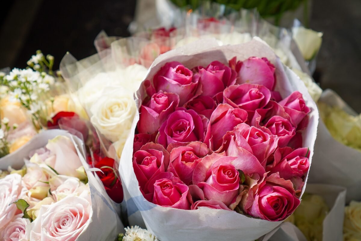 Premium Ecuadorian roses for Monaco flower suppliers