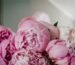 Luxury peonies Monaco event
