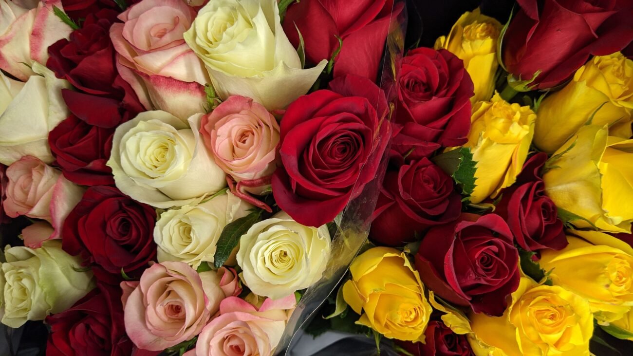 Premium roses Monaco florist
