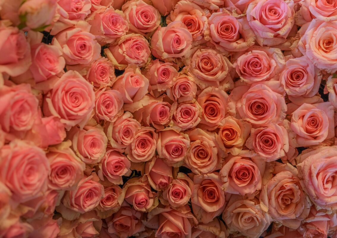 Fresh Ecuadorian roses for Monaco luxury bouquet
